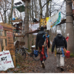 Besetzung im Freiburger Dietenbachwald vor der Räumung – Widerstand angekündigt