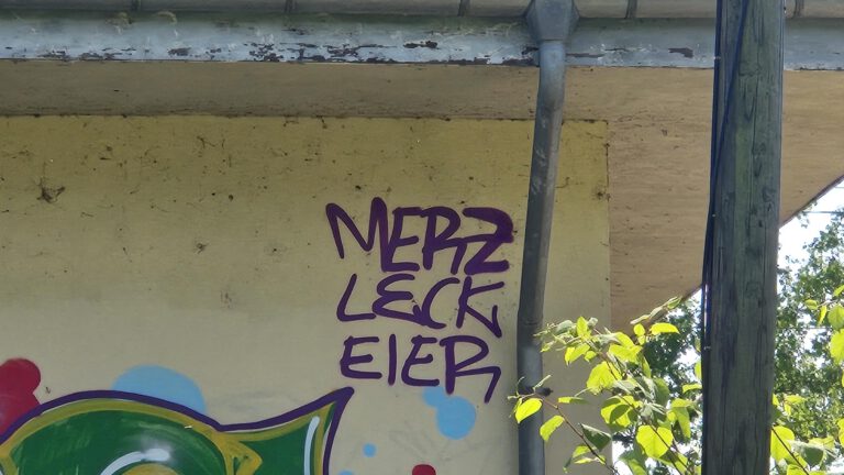 Aufrüstung Krieg Schulstreik Wehrpflicht "Merz leck Eier"